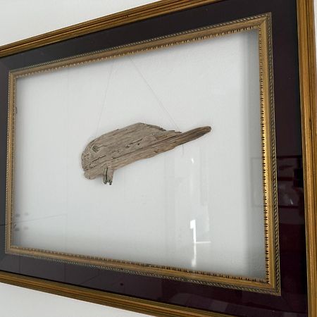 Il Pesce Di Legno Διαμέρισμα Λιβόρνο Εξωτερικό φωτογραφία